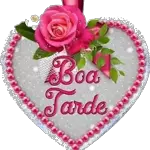 não pode ❌