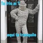 tá frio né
