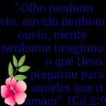 versículo 🙌👑