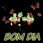 bom dia 2