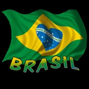 ORDER PROGRES BRASIL  - getsticker.com