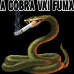 A Cobra
Vai Fuma
