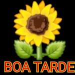 BOA TARDE 