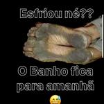 Te na banho!