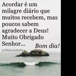 Calma Rainha do Nilo 