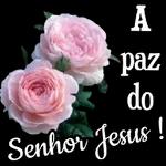 paz do Senhor