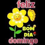 pacote diferent