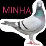 "PAU NA BONECA” 