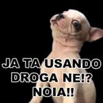 droga 