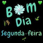 segunda