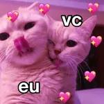 Gatos
