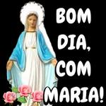 BOA NOITE 😴💤