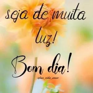 1pl9vo