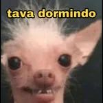Uma esmola por favor