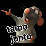 tamu junto