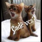 eu vou