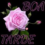 Boa tarde 