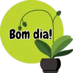 Bom dia!