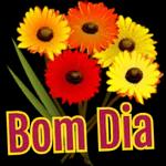  BOM
DIA
