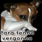 vergonha 