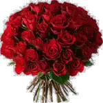 Hab dich lieb❤️❤️