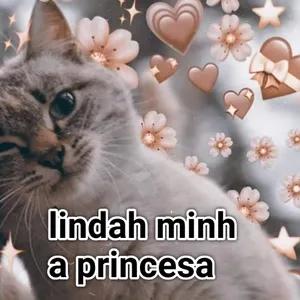 5IYJSY