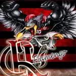 Flamengo Gol
