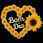 aleatório