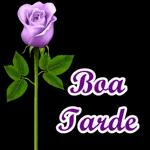 Bom dia grupo