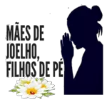 🚗⚠️ dirija com segurança ⚠️🚗