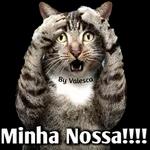 Bom dia grupo
