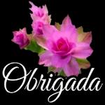 O Senhor Criador te abençoe e te prospere. 123R2