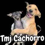 tudo juntos