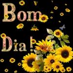Nossaaal! 