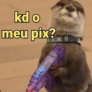 yqndkpq