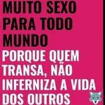safadinha 