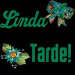 Boa noite. Boa tarde