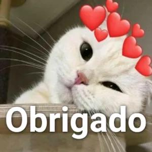 sXbTjD