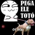 BOM DIA 