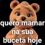 novu pacoti
