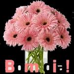 Bom dia 