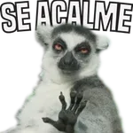 stickers 5