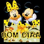 BOA TARDE