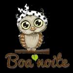 Boa Noite