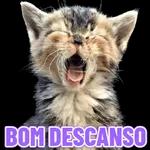 sexsexsexs