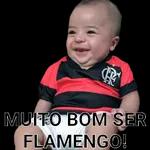 Copa América （br）