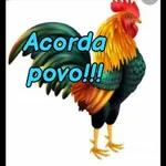 acorda 