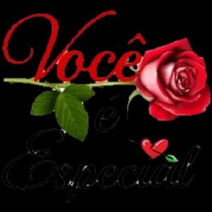 Você Especial ér  - getsticker.com
