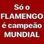 Flamengo Campeão 🏆