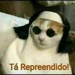  Tá Repreendido!
